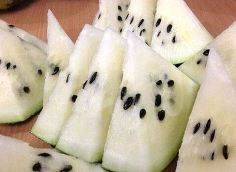 Vanil və badam tamlı ağ qarpız yetişdirildi