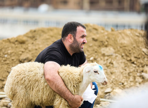 Qurban bayramı günlərində sərt karantin rejimi bütün ölkədə tədbiq ediləcək? – AÇIQLAMA