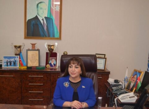 “Azərbaycanda içməli su və suvarma suyu ilə təminat 100 faiz olmalıdır” – DEPUTAT