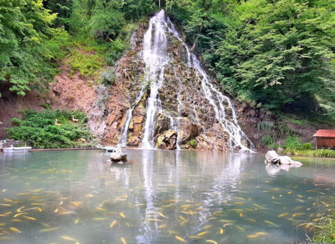Oğuza istirahətə gedənlər cəzalandırıldı – FOTO