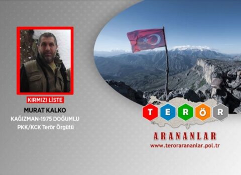 İraqın şimalında təhlükəli terrorçu məhv edildi