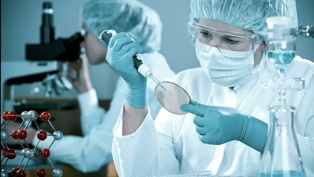 Bu ölkədə koronavirus peyvəndi məcburi ola bilər Bu ölkədə koronavirus peyvəndi məcburi ola bilər