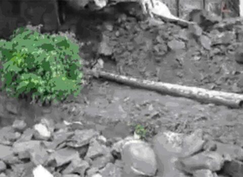 Oğuzda hasar aşdı: 500 nəfər qazsız qaldı