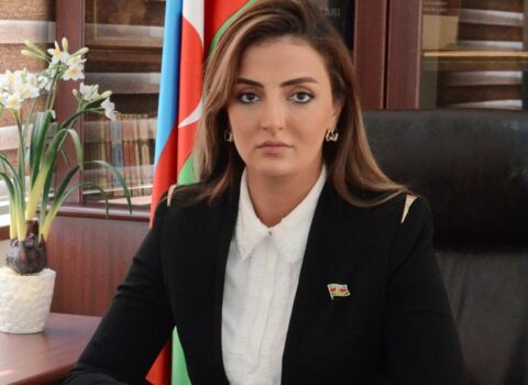 Könül Nurullayeva: “Ermənistanın ön cəbhəyə çıxarmağa resursu yoxdur”