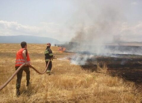 Şabranda baş verən yanğın söndürüldü – FOTO