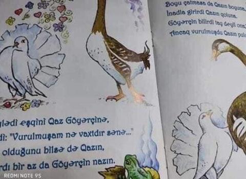 Uşaqlar üçün nəzərdə tutulan qalmaqallı kitabla bağlı – AÇIQLAMA