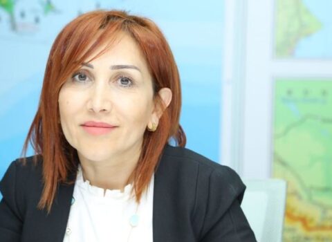 Bakıda gecə 30-a yaxın ağac ekskavatorla məhv edilib – RƏSMİ