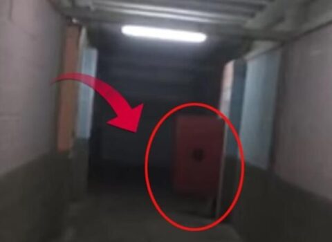 Morqa kamera qoydular və… — 18+ VİDEO