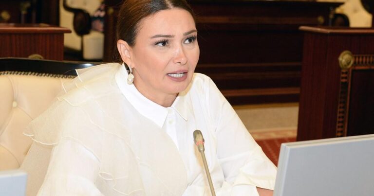 Tovuz təxribatı ilə bağlı Asiya PA ölkələrinə müraciət Tovuz təxribatı ilə bağlı Asiya PA ölkələrinə müraciət