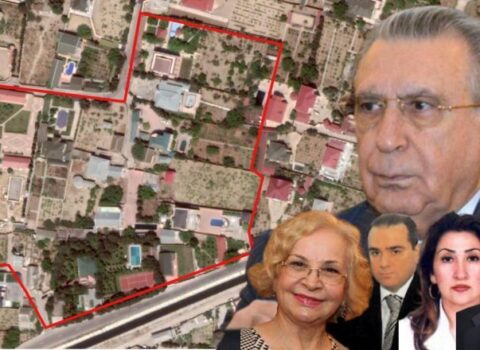 Ramiz Mehdiyevin nəvəsinin toyu bu bağ evində olub – FOTO