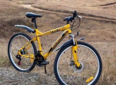 Azyaşlı oğluna velosiped oğurlatdıran ata tutuldu – VİDEO