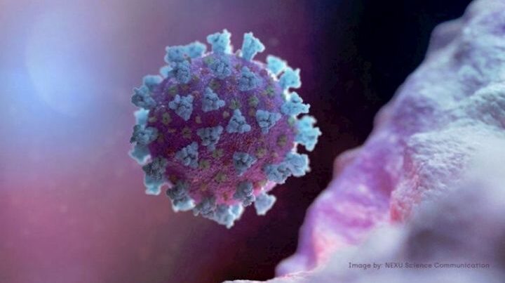 Koronavirusun yeni növü meydana çıxıb - 10 qat daha təhlükəlidir