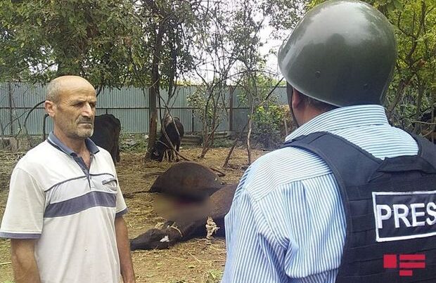 Ermənilər Bərdənin kəndlərini ağır artilleriyadan atəşə tutdu Ermənilər Bərdənin kəndlərini ağır artilleriyadan atəşə tutdu