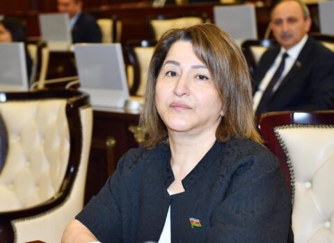 Ermənistan istər siyasi-iqtisadi, istərsə də hərbi cəhətdən Azərbaycanla müqayisə edilə bilməz