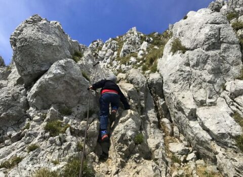 Qəbələdə 5 nəfər dağda köməksiz qaldı