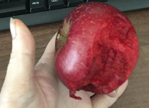 “Qanlı alma” ilə bağlı optik illüziya görənləri çaş-baş qoydu – FOTO