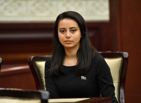 “Sülh danışıqlarına yalnız düşmən əzəli torpaqlarımızı tərk etdikdən sonra başlamaq olar”