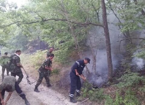 Ermənilərin Daşkəsəndə törətdiyi yanğın söndürüldü – RƏSMİ