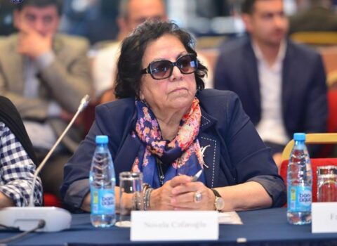 “Amnesty International” Gəncədə erməninin yaralandığını da bilmir? – Novella Cəfəroğlu