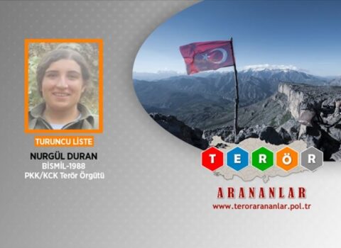 Türkiyədə axtarışda olan PKK terrorçusu məhv edilib