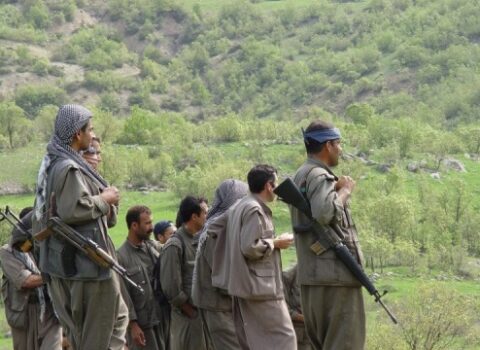 PKK-nın “vəzifəli” terrorçusu məhv edildi – FOTO
