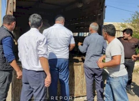 Cəbhədə qurbanlar kəsildi