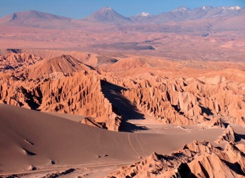 Alimlər: Yer planetinin ən quraq yerindəki torpaqda mikroblar aşkarlanıb