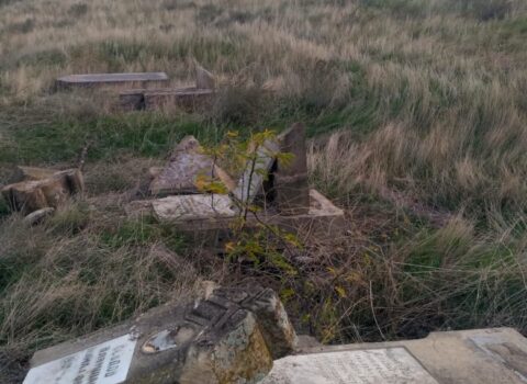 İşğaldan azad olunmuş ərazilərdəki monitorinqlərin nəticələri açıqlandı – FOTOLAR