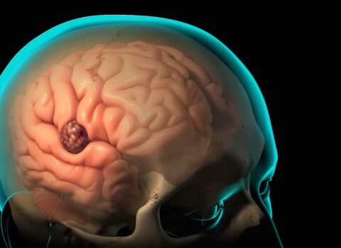 Alimlər insan beynində “neyron kompas” aşkar ediblər