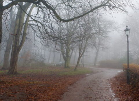 Atmosferdə karbon qazı görünməmiş şəkildə artıb