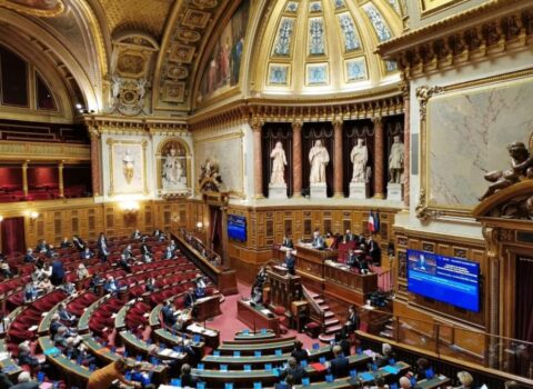 Senatın “dqr”ı tanıması Fransaya qarşıdır – Fransız diplomat