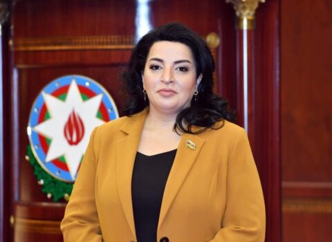 “Makronun “erməni sevgisi” fransız xalqının iradəsi deyil” – Fatma Yıldırım