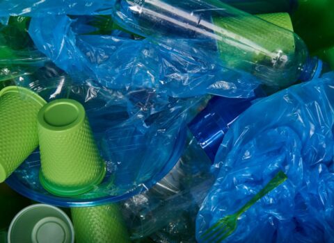 Polietilen torbalar və plastik mətbəx əşyalarının satışı QADAĞAN EDİLDİ
