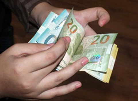 Azərbaycan əhalisi pullarını hansı məhsullara xərcləyir? – STATİSTİKA