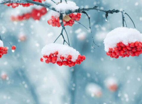 Sabah hava necə olacaq? – PROQNOZ