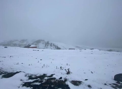 Cəlilabada ilk qar yağdı