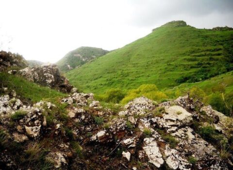 İşğal altında olan ərazilərdə fitosanitar vəziyyət AÇIQLANDI