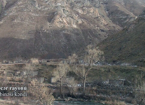 Nazirlik Kəlbəcərdən daha bir görüntü yaydı – VİDEO