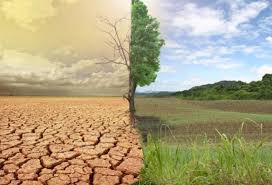 Səhralaşmaya qarşı mübarizə aparılacaq – SƏRƏNCAM