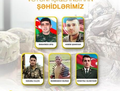 Vətəni işıqlandıran şəhidlər… – FOTOLAR