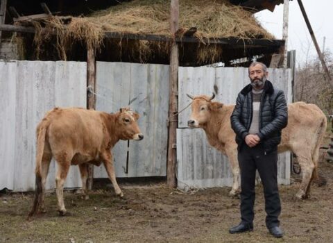 Daha iki rayonun şəhid ailələri və müharibə iştirakçıları üçün təsərrüfatlar yaradıldı – FOTO