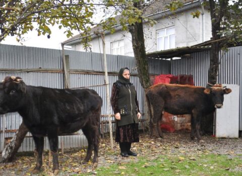 Lənkəranda şəhid və qazi ailələri üçün təsərrüfatlar yaradıldı – FOTOLAR