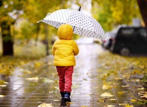 İstirahət günü hava necə olacaq? – PROQNOZ