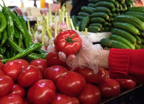 Rusiya Azərbaycana pomidora görə yüz minlərlə dollar ödəyib