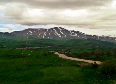 Azərbaycan nömrəli maşın Zəngəzurda… — FOTO