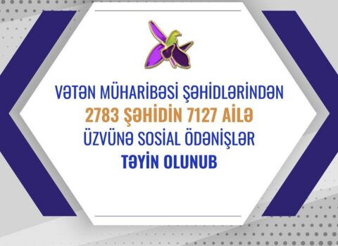 Nazirlik: 2 783 şəhidin ailə üzvünə sosial ödənişlər təyin olundu