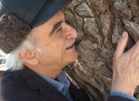 Bülbüloğlu Şuşada KÖVRƏLDİ: “Papanın əlləri dəyib bura…” – VİDEO