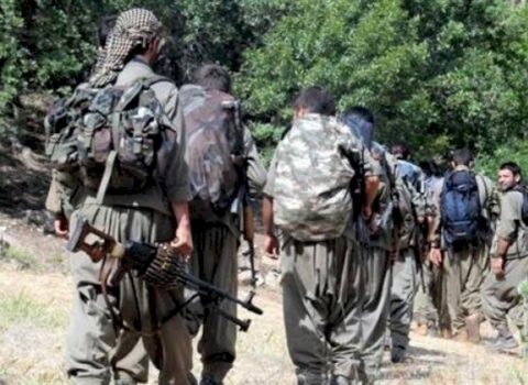 “Türkiyə çalışacaq ki, Qarabağdakı silahlı erməni birləşmələri ləğv edilsin”