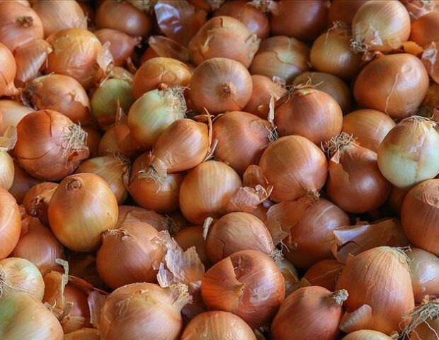 Kilosu 5 qəpik olsa da alıcısı yoxdur – SƏBƏB