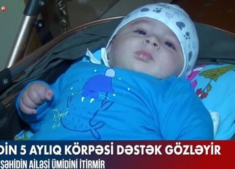 Şəhidin beş aylıq körpəsi dəstək gözləyir – VİDEO